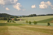 Mladkova_016